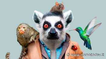 Come si evolveranno gli animali nel futuro?