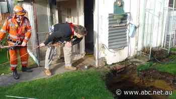 As sinkholes appear in Ballarat, experts warn of unmapped gold rush shafts hidden from detection