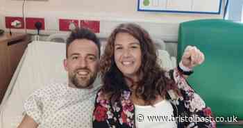 Tourist collapsed after venomous snake latched on to him on West Country path