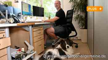 Tiere in der Arbeitswelt? Hier geht es mit dem Hund ins Geschäftsmeeting