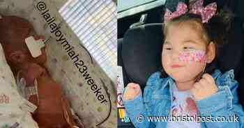 'I'm driving 3,000 miles so my ill daughter, aged two, can meet her family'