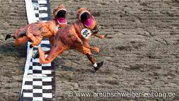 T-Rex-Kostümrennen mit über 200 Läufern