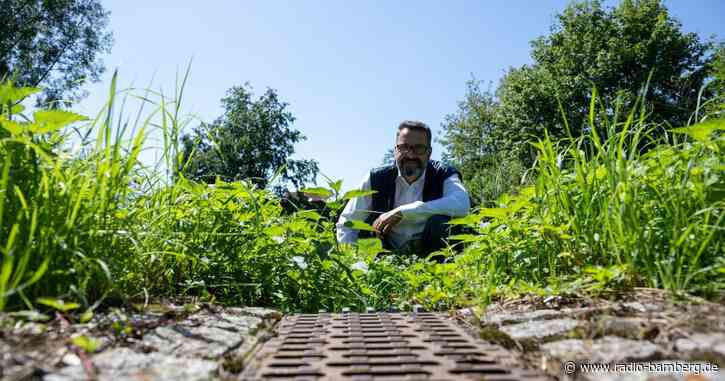 «Schwammstadt» als Schutz vor Wasser