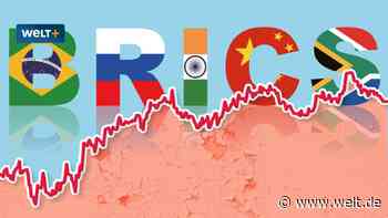 So wollen fünf Staaten die Vormacht des Dollars brechen