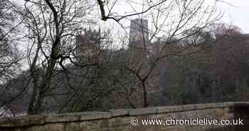 Man, 21, sexually assaulted tourist as she took photos of Durham Cathedral