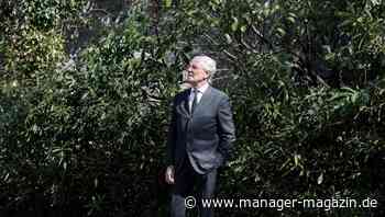 Continental: Wie der Autozulieferer neu aufgestellt werden soll