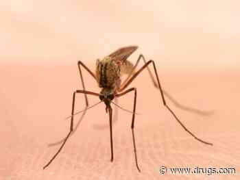 Maryland Reports Case of Locally Acquired Malaria