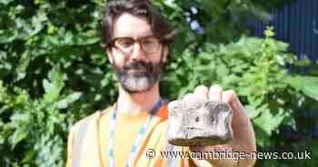Archaeologists find dinosaur bone amongst Roman artefacts in Cambridge dig