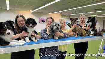 „Dog Dream“ in Braunschweig: Eine Sporthalle für Hunde