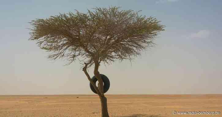 Hunderte Migranten an saudisch-jemenitischer Grenze getötet