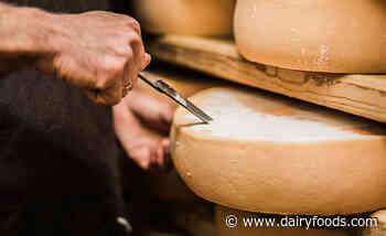 Equipment and techniques for making specialty cheeses