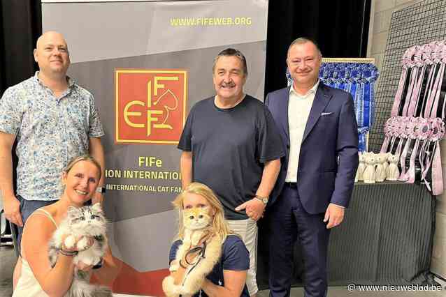 Kattenexpo lokt 280 katten uit tien landen