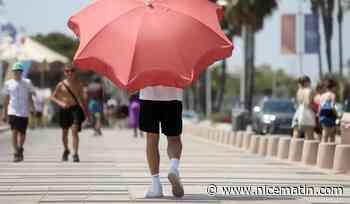 Canicule: les vagues de chaleur sont de plus en plus fréquentes et intenses en France