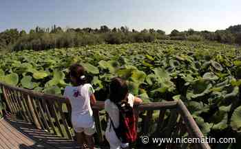 On vous conseille cinq balades en pleine nature accessible aux personnes à mobilité réduite dans les Alpes-Maritimes