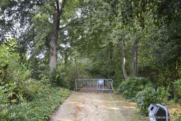 Vandalisme versnelt afbraak brug in park