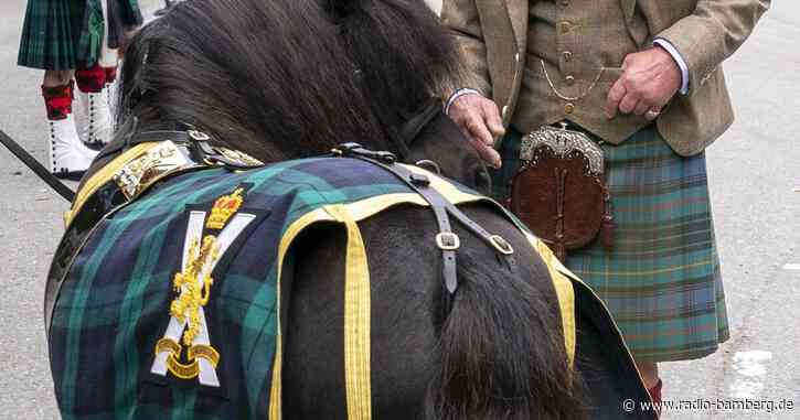 König Charles und das besondere Shetlandpony