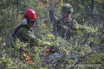 Another company of soldiers deployed to N.W.T to help with wildfire fight