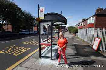 'Absolutely disgusting' - Locals speak of outrage after 17 North Tyneside bus shelters are vandalised