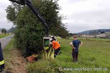 Pferd stürzt in Graben bei Godelheim: Feuerwehr im Einsatz