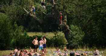Cambs weather: Temperatures to soar this week as summer returns to Cambs