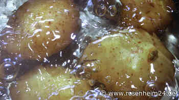 Alles, was man über das Kochen von Kartoffeln wissen muss – Sorten und Rezepte