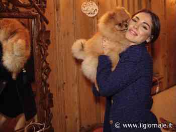Il cane di Giulia De Lellis muore mentre lei è in a Ibiza: scoppia la polemica