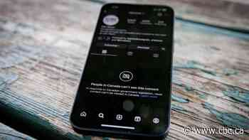 Small publications are feeling the pain of Meta's news block