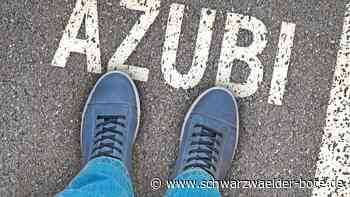 Lehrstellen im Kreis Calw: Auswahl an Berufen war nie größer