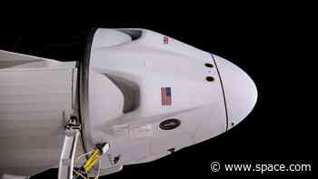 SpaceX rolls rocket to pad ahead of Crew-7 astronaut launch (photos)