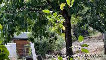Naturfrevel  in Simmozheim: Mauer im Naturschutzgebiet ist inzwischen abgerissen