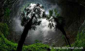 The ancient forest world discovered more than 600ft below the surface in huge sinkhole in China