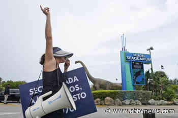 Mourners gather to remember the last captive southern resident orca