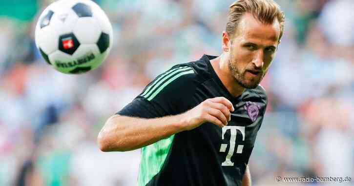 Steffen Freund über Kane: Charakter, der sofort funktioniert