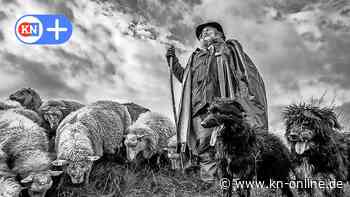 Rundgang durch Galerien in und um Kiel: 
Facettenreiches Angebot