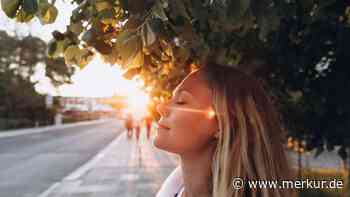 Vitamin D senkt Krebssterblichkeit: Forscher erklärt, wo für viele bei der Dosierung noch Potenzial schlummert