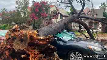 Hilary batters Southern California, remnants of storm travel north