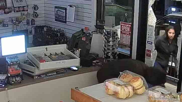 Chilliwack-area man, Hope woman facing charges for breaking into retail store