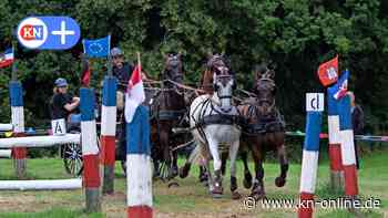 Fahrsport: Blender und Heuser werden Landesmeister der Vierspännerfahrer