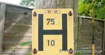 People are realising what the H on lampposts mean - and it's important