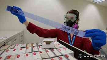 When librarians smelled vinegar, they knew the clock was ticking to save historic archives