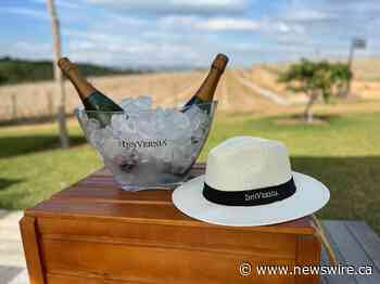 InnVernia conquista prêmio Travellers Choice da plataforma Tripadvisor 2023