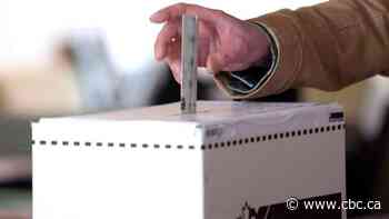 Former PMO staffer fined for voting in Calgary riding she didn't 'ordinarily reside' in