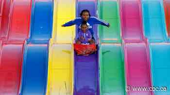 Pickle cotton candy, ferris wheels and more: See CNE's attractions, rides and wacky foods