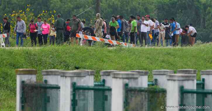 Prominent NYU Doctor Sounds Alarm on Illegals Bringing Deadly, Drug-Resistant Diseases to US: 'Porous Border Is Health Emergency'