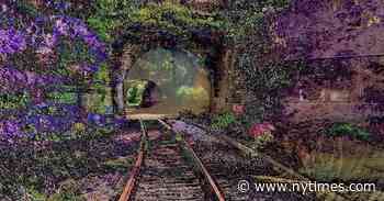 As Fight Over A.I. Artwork Unfolds, Judge Rejects Copyright Claim