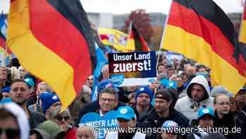 Studie: Gerade AfD-Wähler würden unter der Partei leiden