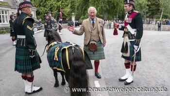 Schottland: König Charles trifft besonderes Shetlandpony