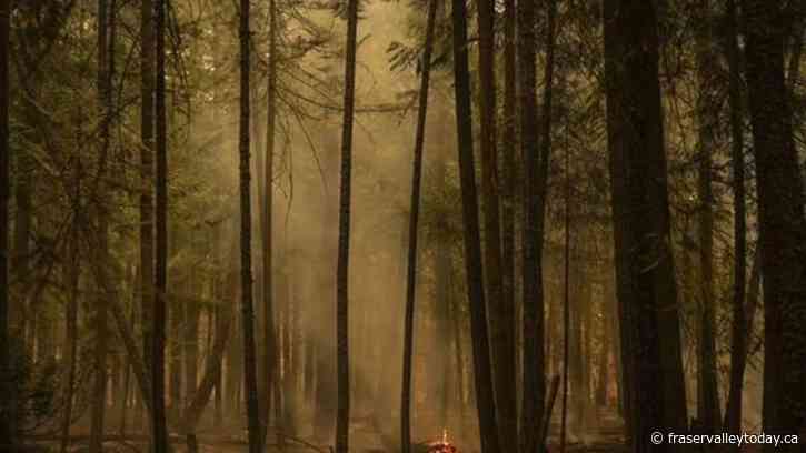 Critical firefighting equipment being moved or stolen, says BC Wildfire Service