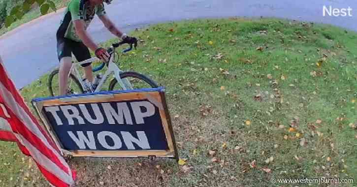 Cyclist Caught on Camera Kicking Trump Sign, Returns at Night for Something Even Worse