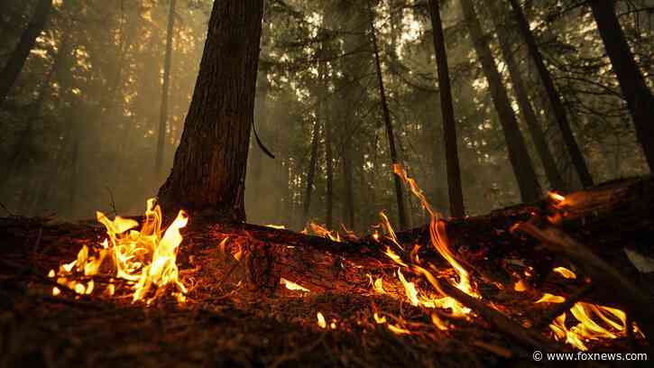 Canadian firefighters making progress in battle against wildfires, thousands still evacuated from their homes